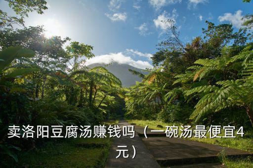 賣洛陽豆腐湯賺錢嗎（一碗湯最便宜4元）
