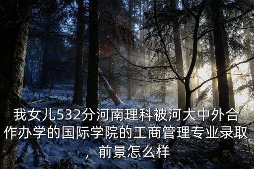 鄭州電專中外合作怎么樣,鄭州大學中外合作辦學怎么樣