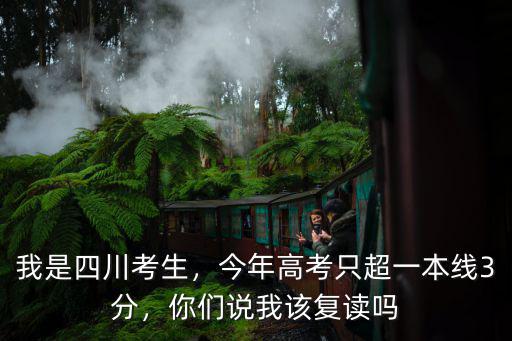 我是四川考生，今年高考只超一本線3分，你們說我該復讀嗎