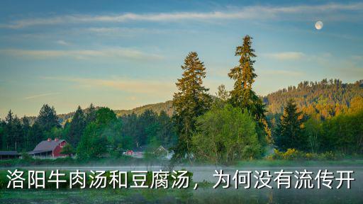 洛陽牛肉湯和豆腐湯，為何沒有流傳開