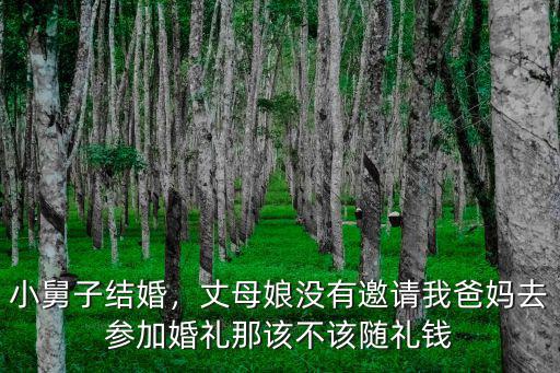 河南湯陰小舅子結(jié)婚送多少錢,有兩個小舅子要結(jié)婚