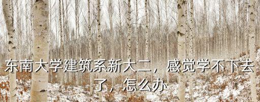 東南大學建筑系新大二，感覺學不下去了，怎么辦