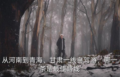 從河南到青海、甘肅一線自駕游，哪一條是最佳路線