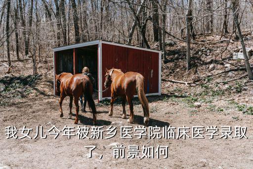 我女兒今年被新鄉(xiāng)醫(yī)學(xué)院臨床醫(yī)學(xué)錄取了，前景如何