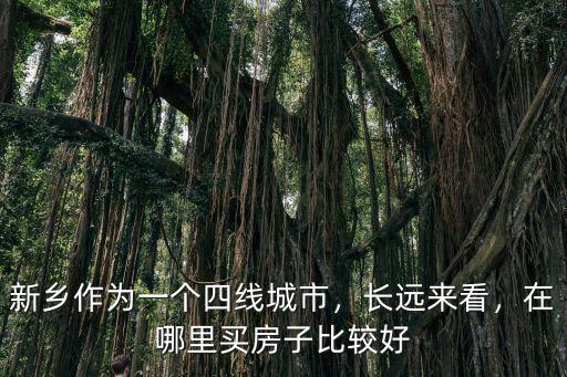 新鄉作為一個四線城市，長遠來看，在哪里買房子比較好