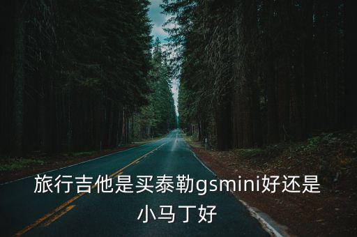 鄭州去哪里買泰勒吉他哪里便宜,應(yīng)該買哪個泰勒吉他