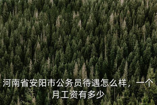安陽本科生工資多少,工資多少夠及格