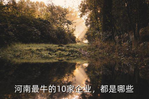 河南省多少企業(yè),河南最牛的10家企業(yè)