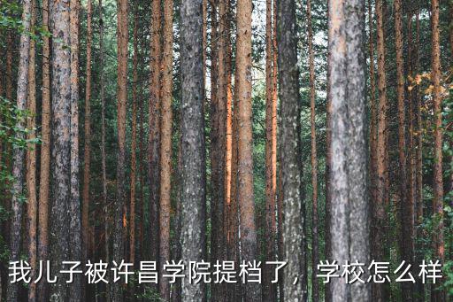 我兒子被許昌學院提檔了，學校怎么樣