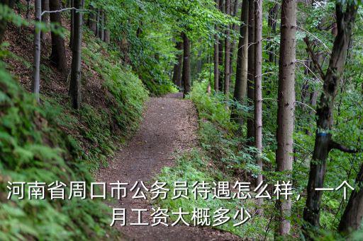 河南省周口市公務(wù)員待遇怎么樣，一個(gè)月工資大概多少