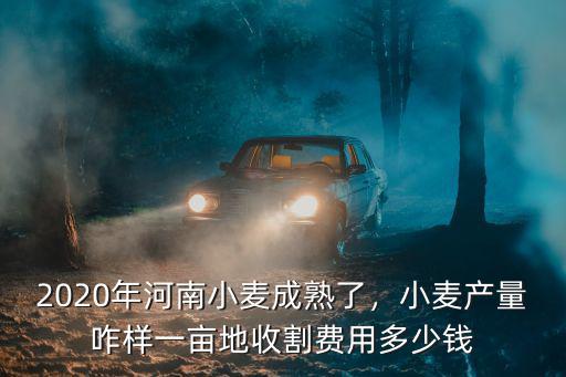 2020年河南小麥成熟了，小麥產(chǎn)量咋樣一畝地收割費(fèi)用多少錢