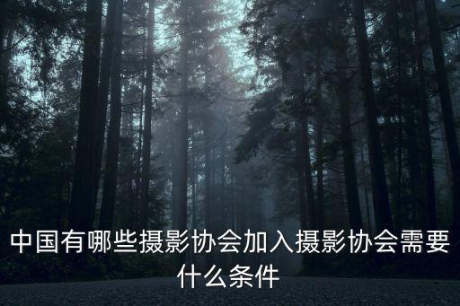 漯河攝影協(xié)會(huì)在哪里,中國(guó)有哪些攝影協(xié)會(huì)