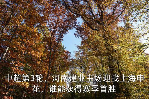 河南建業新賽季主場在哪里,河南建業主場迎戰上海申花