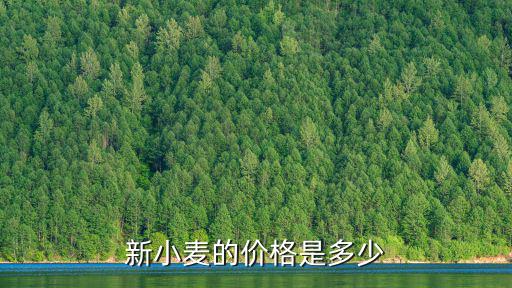 南陽市麥麩29日價格多少一斤,南陽小麥價格要3.6元一斤