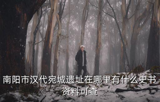 南陽梅花城遺址在哪里,南陽哪里有長城遺址