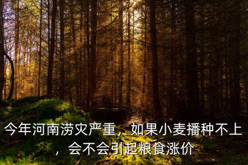 今年河南澇災嚴重，如果小麥播種不上，會不會引起糧食漲價