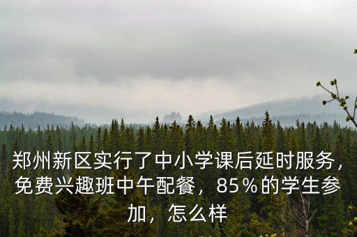 鄭州新區實行了中小學課后延時服務，免費興趣班中午配餐，85％的學生參加，怎么樣