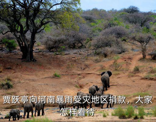 賈躍亭向河南暴雨受災(zāi)地區(qū)捐款，大家怎樣看待