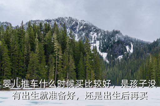 嬰兒推車什么時候買比較好，是孩子沒有出生就準備好，還是出生后再買