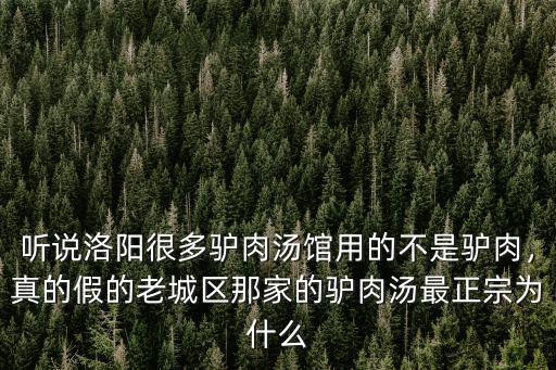 聽說洛陽很多驢肉湯館用的不是驢肉，真的假的老城區那家的驢肉湯最正宗為什么