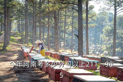 今年河南考多少分可以上211，985