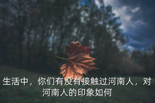 生活中，你們有沒有接觸過河南人，對河南人的印象如何