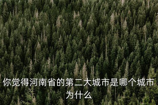 你覺得河南省的第二大城市是哪個城市為什么