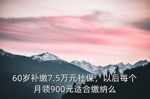 焦作補(bǔ)繳6萬社保一年領(lǐng)多少,60歲補(bǔ)繳7.5萬元社保