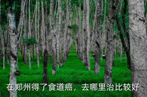 在鄭州得了食道癌，去哪里治比較好