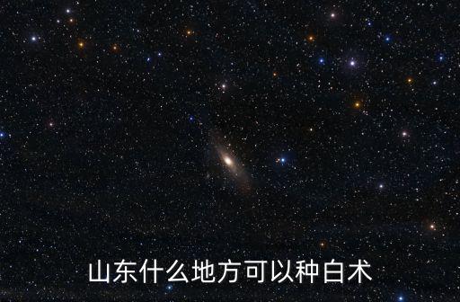 山東什么地方可以種白術(shù)