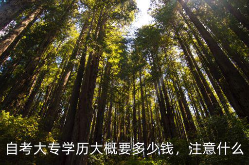 自考大專學歷大概要多少錢，注意什么