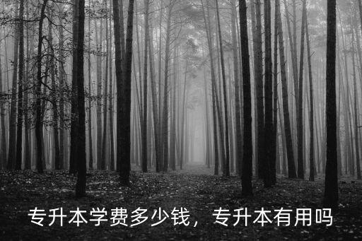 河南耶魯專升本的培訓(xùn)費(fèi)是多少,專升本學(xué)費(fèi)多少錢