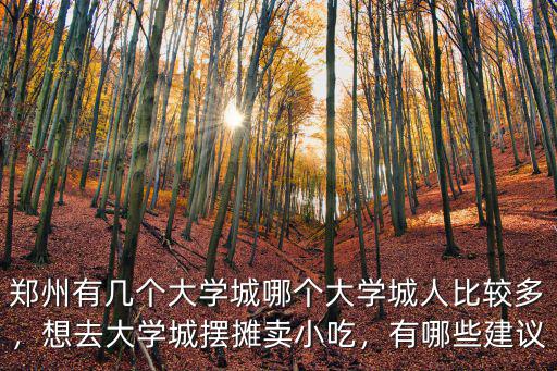 鄭州有幾個大學城哪個大學城人比較多，想去大學城擺攤賣小吃，有哪些建議