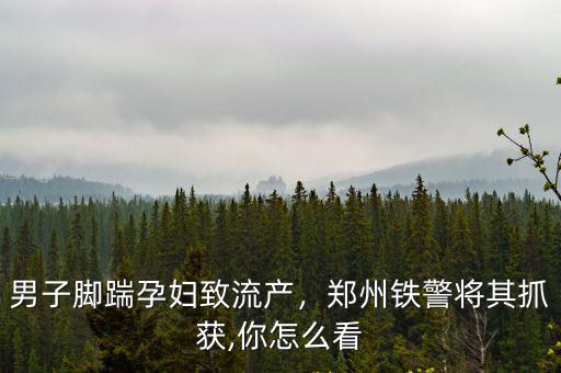 男子腳踹孕婦致流產，鄭州鐵警將其抓獲,你怎么看