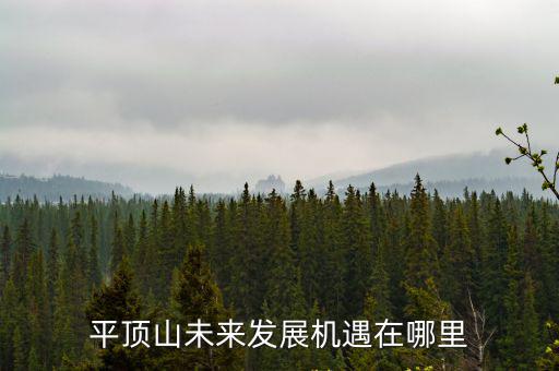 平頂山飛機場在哪里建,平頂山未來發展機遇在哪里