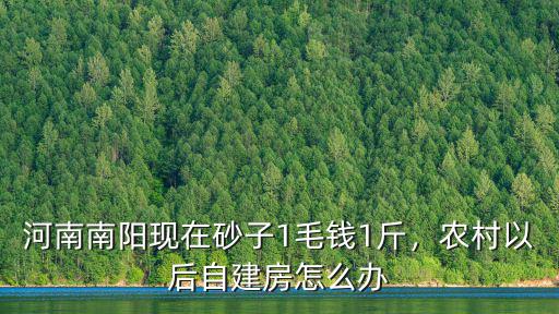 河南南陽現(xiàn)在砂子1毛錢1斤，農(nóng)村以后自建房怎么辦