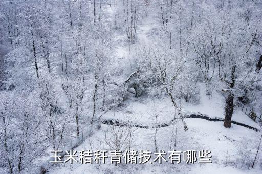 許昌市哪里有賣青貯玉米秸稈的,玉米秸稈青儲技術有哪些