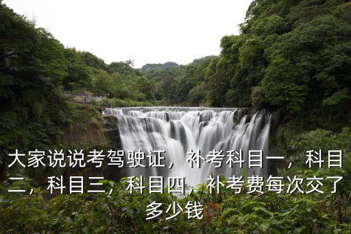 大家說說考駕駛證，補考科目一，科目二，科目三，科目四，補考費每次交了多少錢