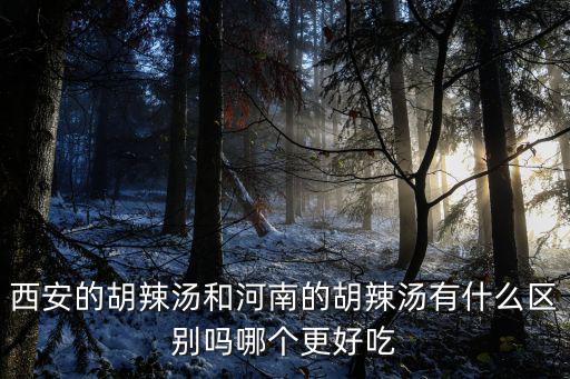 西安的胡辣湯和河南的胡辣湯有什么區(qū)別嗎哪個更好吃