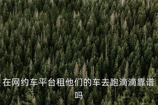 在網(wǎng)約車平臺租他們的車去跑滴滴靠譜嗎