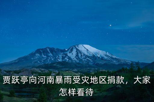 賈躍亭向河南暴雨受災地區捐款，大家怎樣看待