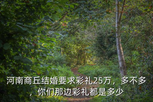 河南結婚彩禮給多少,現在河南農村結婚彩禮重