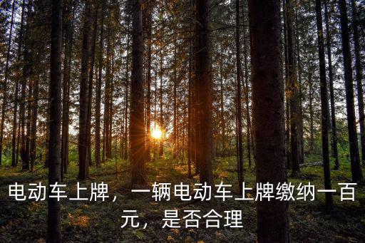 電動車上牌，一輛電動車上牌繳納一百元，是否合理