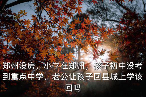 鄭州沒房，小學(xué)在鄭州，孩子初中沒考到重點(diǎn)中學(xué)，老公讓孩子回縣城上學(xué)該回嗎