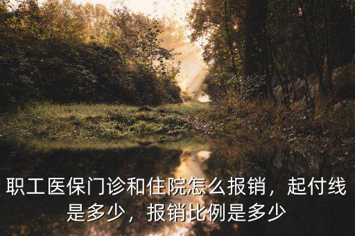 安陽市職工醫保起付是多少,起付線是多少
