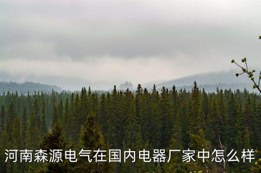 河南森源電氣在國內電器廠家中怎么樣