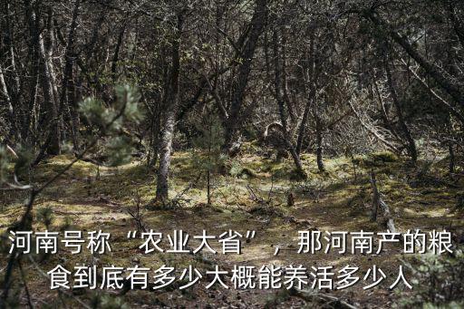 河南號稱“農業大省”，那河南產的糧食到底有多少大概能養活多少人