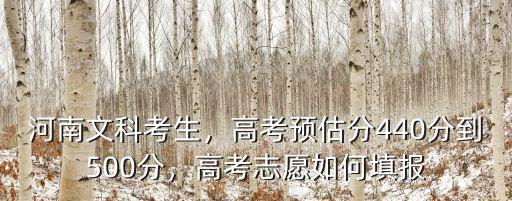 河南533分怎么報考,河南考生考了565分
