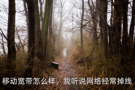 周口鐵通寬帶怎么樣,移動(dòng)寬帶怎么樣