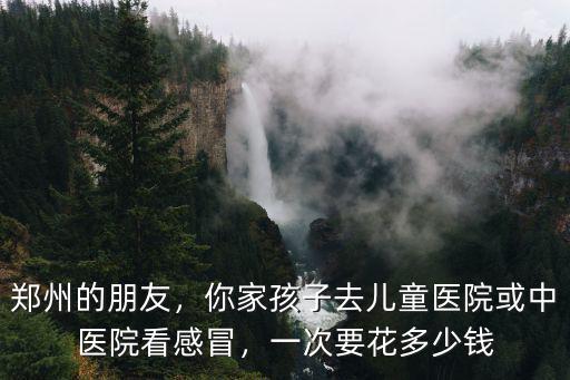 鄭州的朋友，你家孩子去兒童醫院或中醫院看感冒，一次要花多少錢